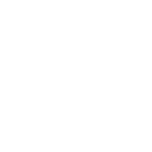 CarsynCat & Co.